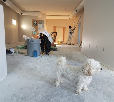 commercial renovations